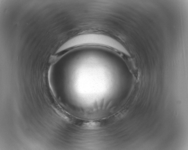 X0000081620269200701291500