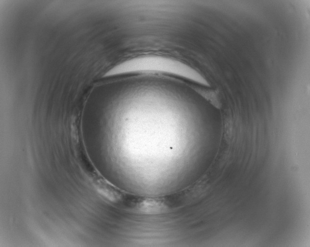 X0000081620270200701291500