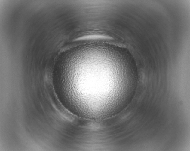 X0000081620272200701291500