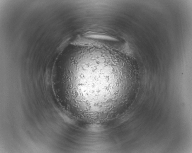 X0000081620273200701291500