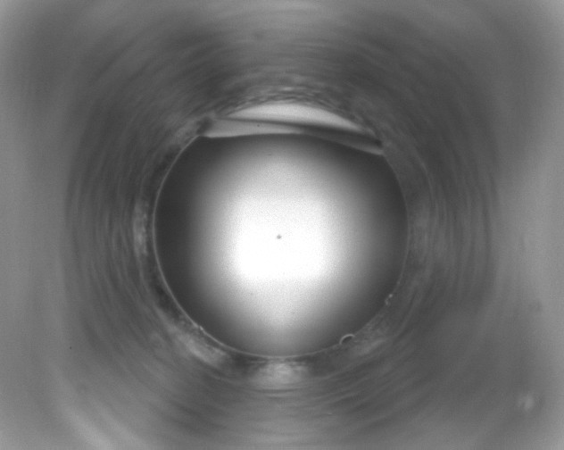 X0000081620274200701291501