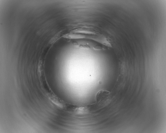 X0000081620275200701291501