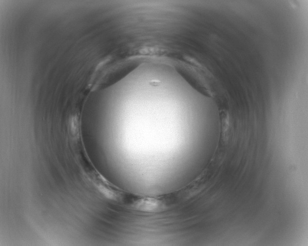 X0000081620276200701291501