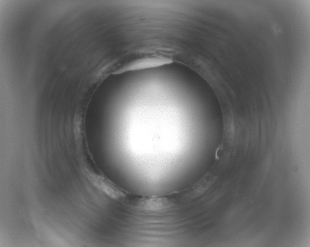 X0000081620282200701291501