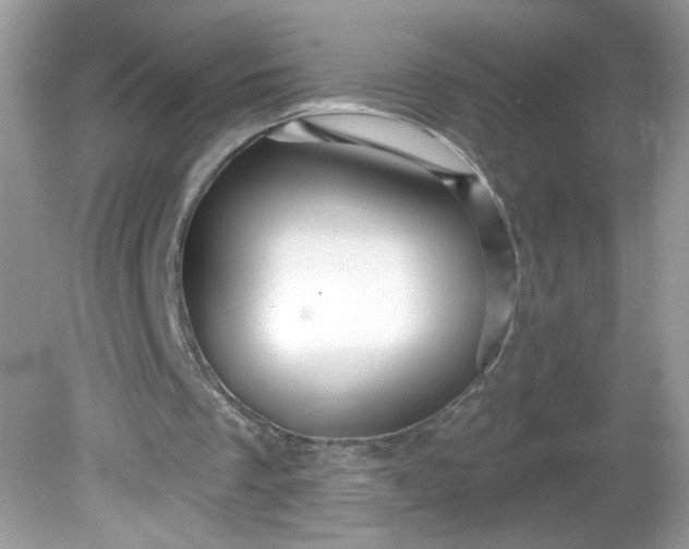 X0000081620289200701291500