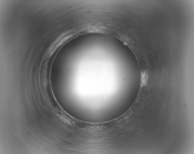 X0000081620291200701291500