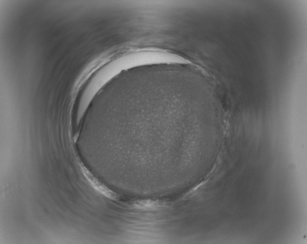 X0000081620293200701291500