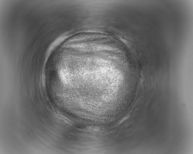 X0000081620294200701291500