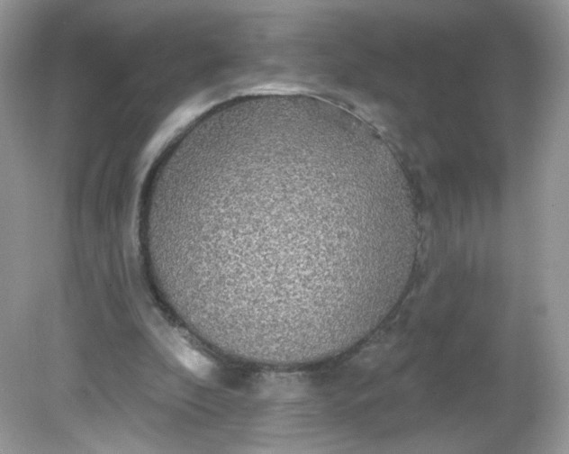 X0000081620296200701291500