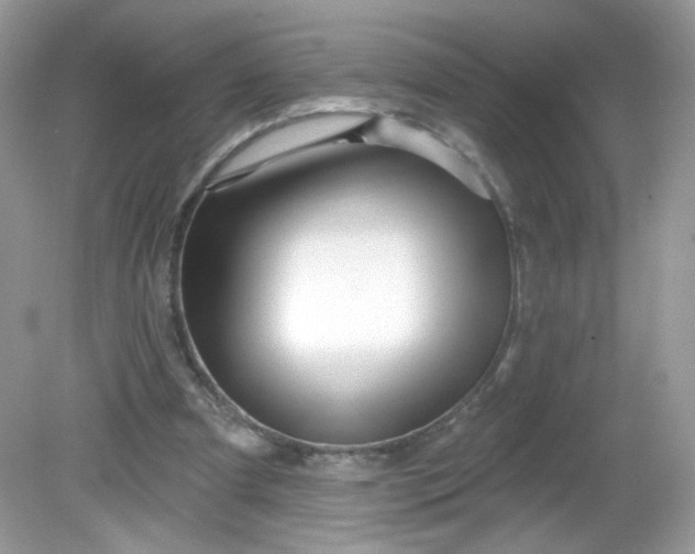 X0000081620297200701291500