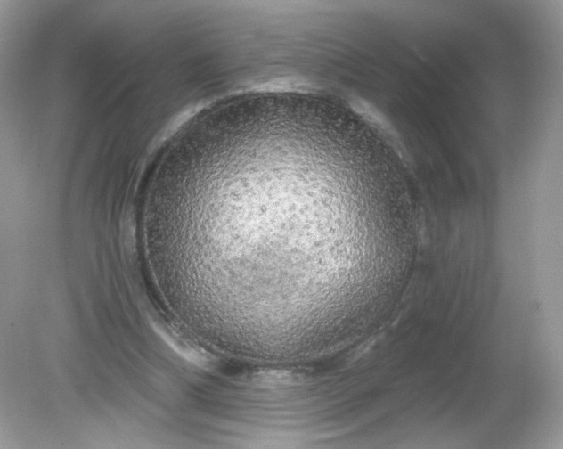 X0000081620298200701291500