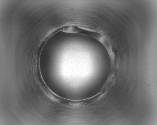 X0000081620301200701291500