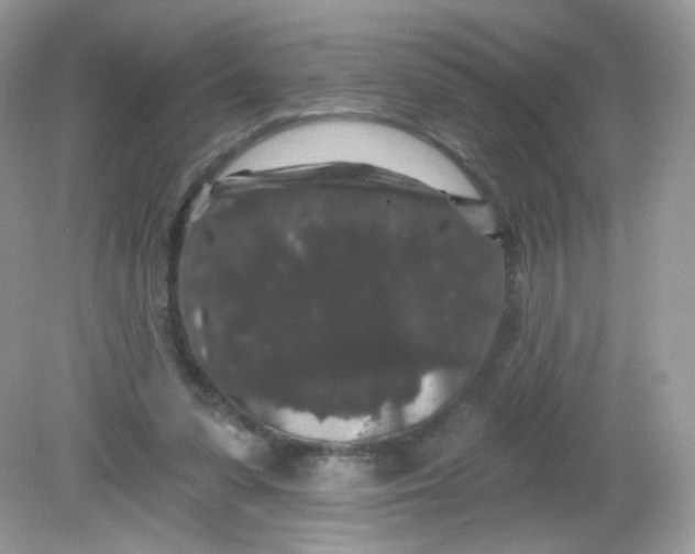 X0000081620303200701291500