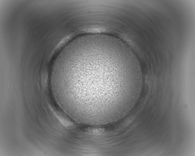 X0000081620304200701291500