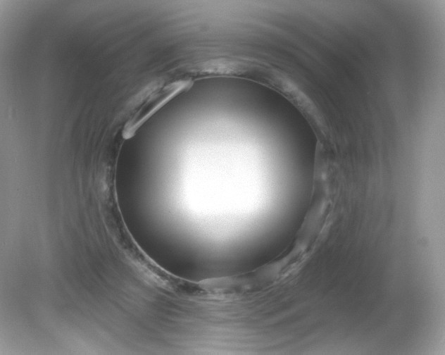 X0000081620305200701291500