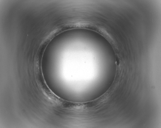 X0000081620306200701291500