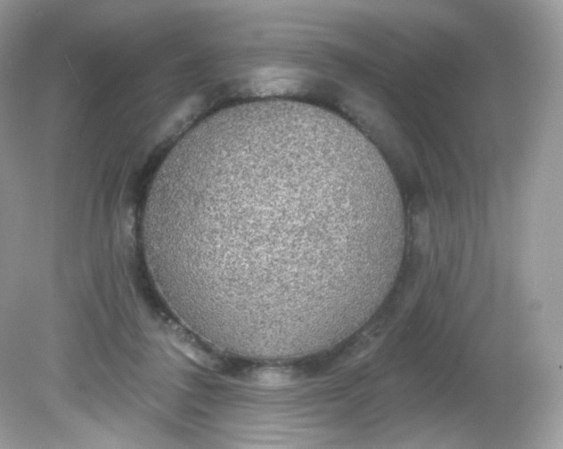 X0000081620308200701291500