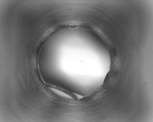 X0000081620309200701291500