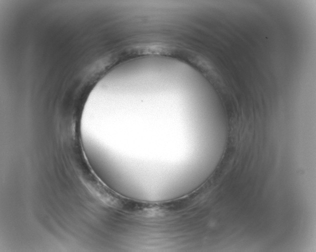 X0000081620310200701291500