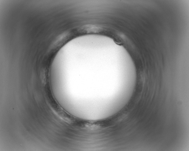 X0000081620311200701291500