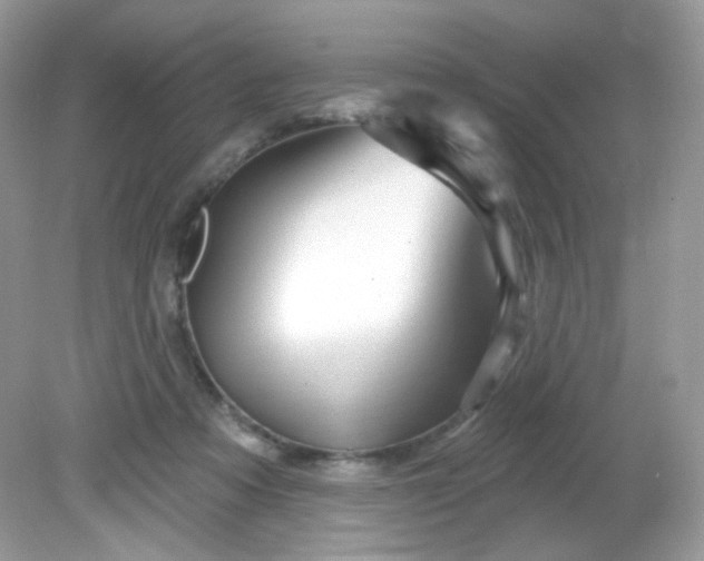 X0000081620313200701291500