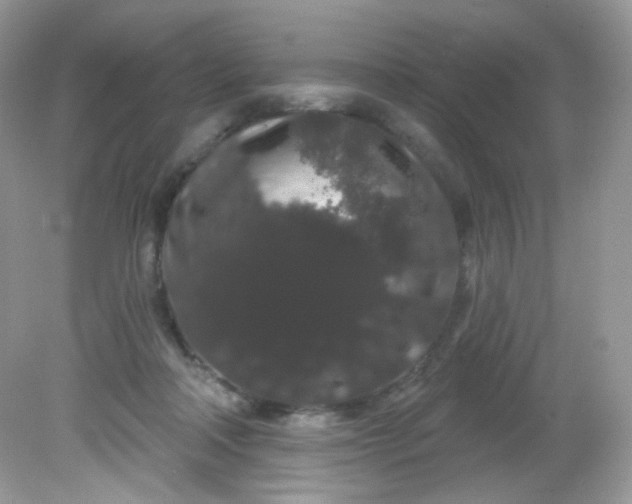 X0000081620314200701291500