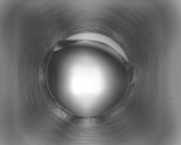 X0000081620317200701291459