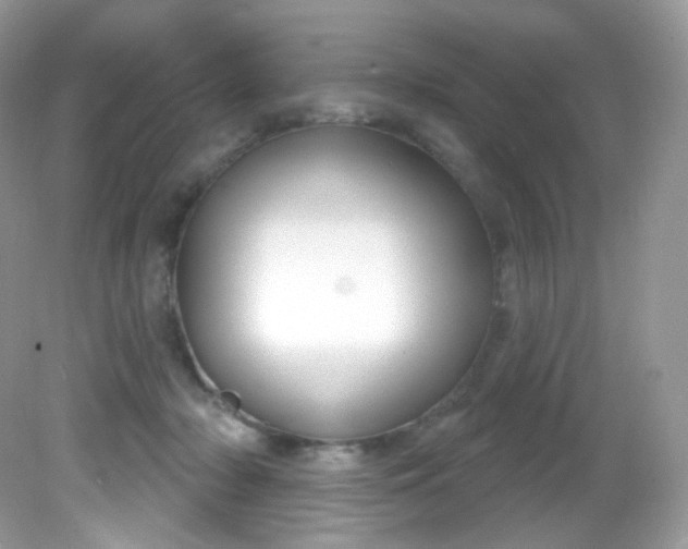 X0000081620318200701291459