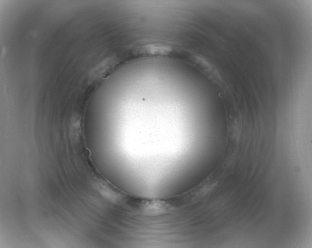 X0000081620321200701291459