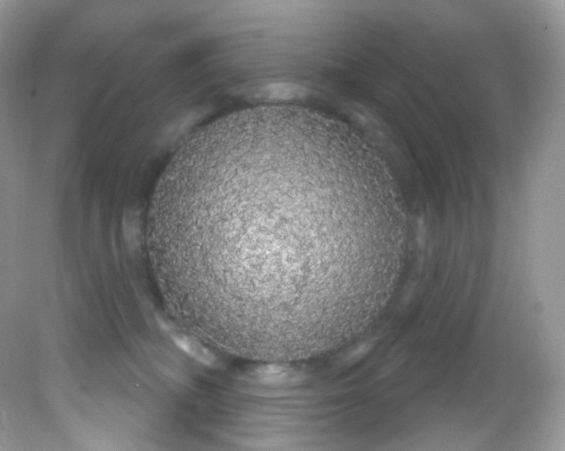 X0000081620326200701291459