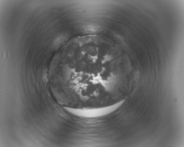 X0000081620331200701291459