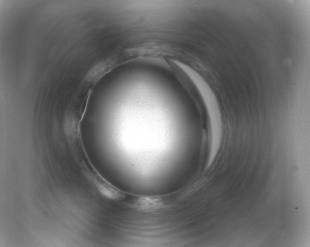 X0000081620333200701291459