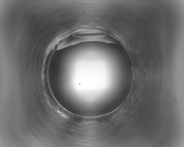 X0000081620340200701291458