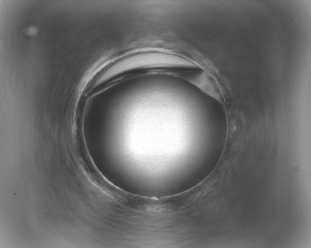 X0000081620344200701291458