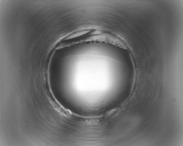 X0000081620345200701291458
