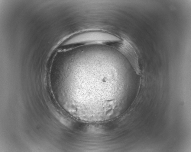 X0000081620346200701291458