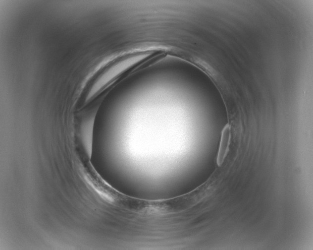 X0000081620350200701291459
