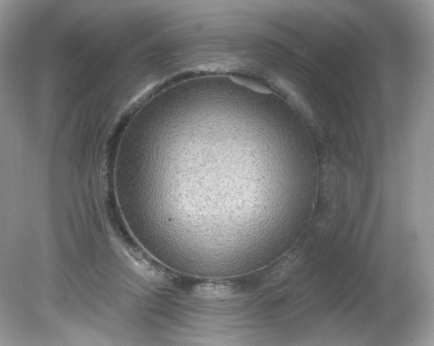 X0000081620354200701291459