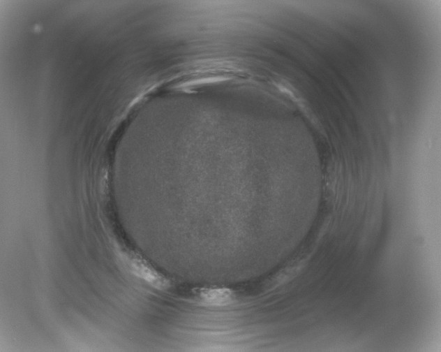 X0000081620355200701291459