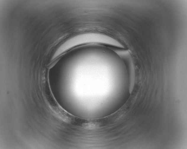 X0000081620356200701291459