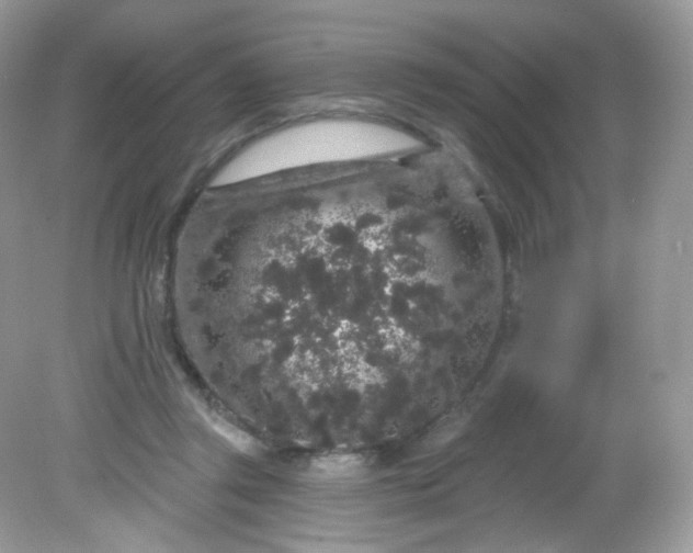 X0000081620357200701291459