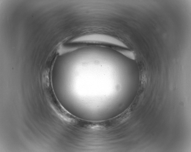 X0000081620360200701291459