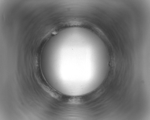 X0000081620362200701291459