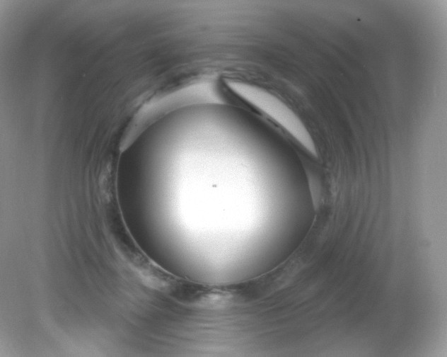 X0000081620364200701291459