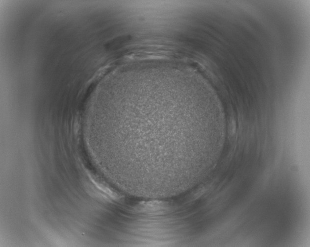X0000081620367200701291459
