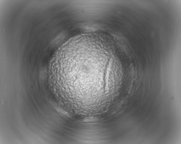 X0000081620369200701291459