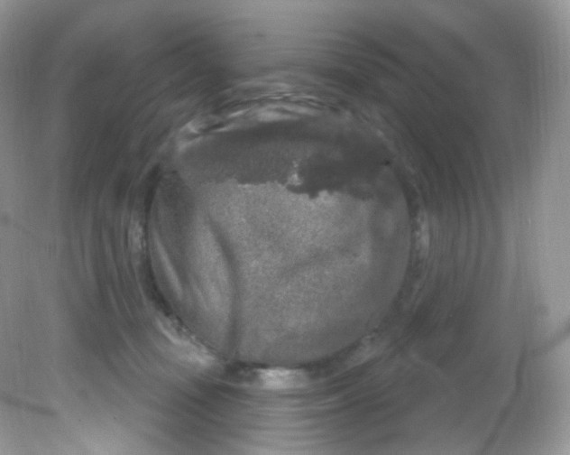 X0000081620371200701291459