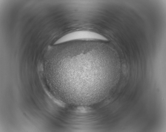 X0000081620375200701291459