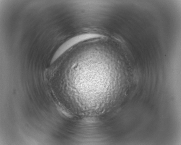 X0000081620377200701291459