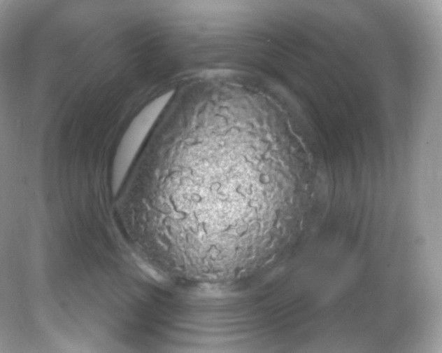 X0000081620381200701291459